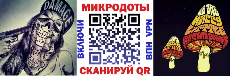 Купить где  Реж  Галлюциногенные грибы Psilocybine cubensis 