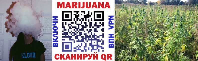 Бошки Шишки семена  Купить  Реж 